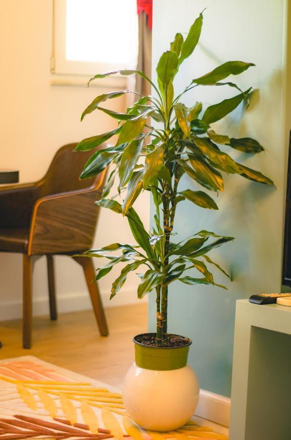 Bright Apartment Close To City Center Тирана Экстерьер фото